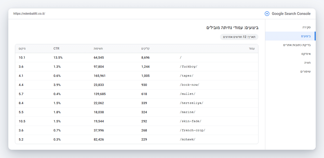 צילום מסך מ-Google Search Console של עמודי הנחיתה המובילים