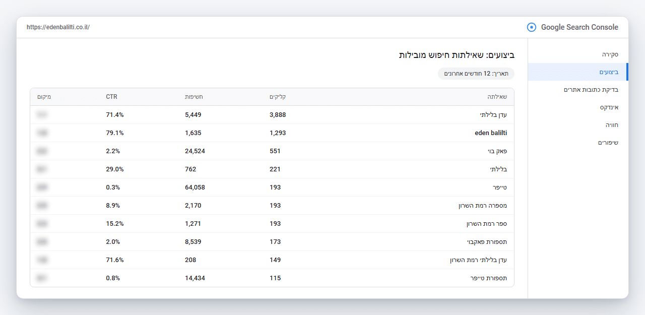 צילום מסך מ-Google Search Console של שאילתות החיפוש המובילות