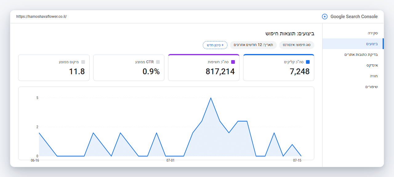 Google Search Console של פרחי המושבה: 7,248 קליקים, 817 אלף חשיפות