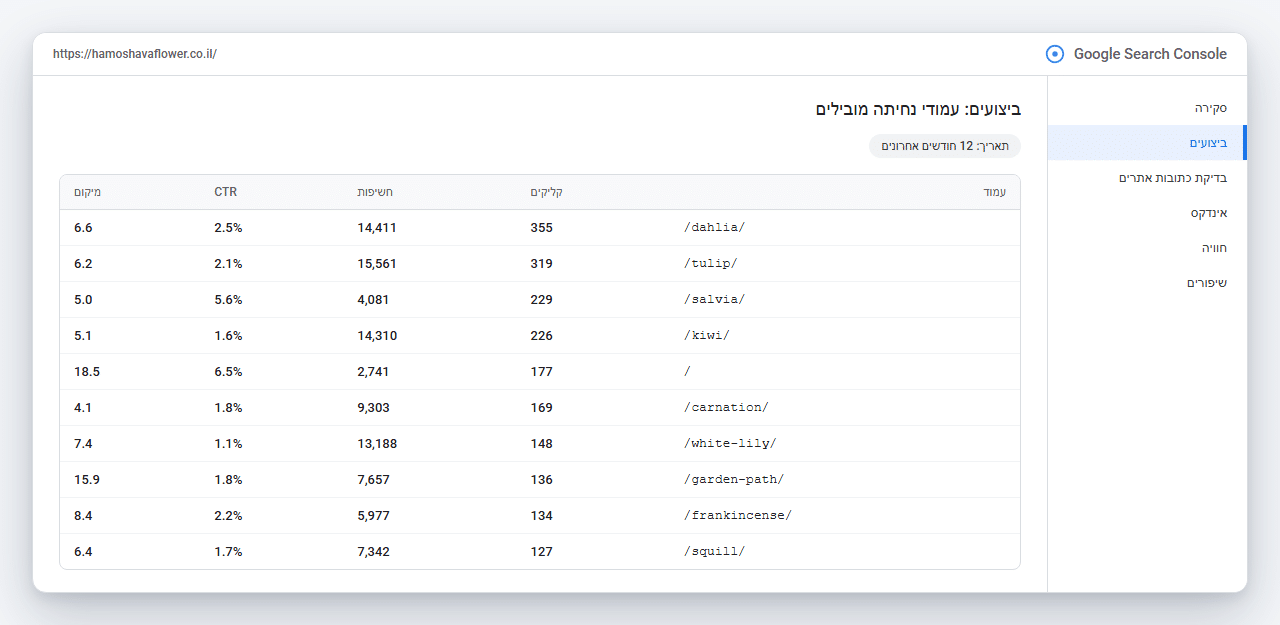 Google Search Console של פרחי המושבה: עמודי נחיתה מובילים