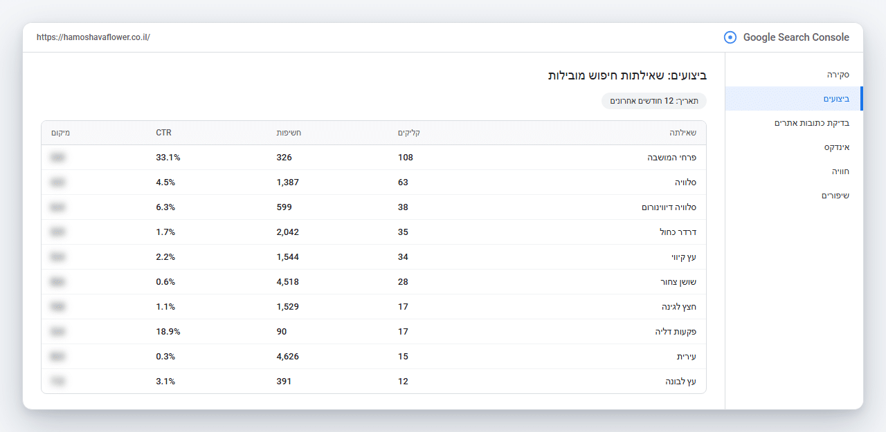 Google Search Console של פרחי המושבה: שאילתות חיפוש מובילות
