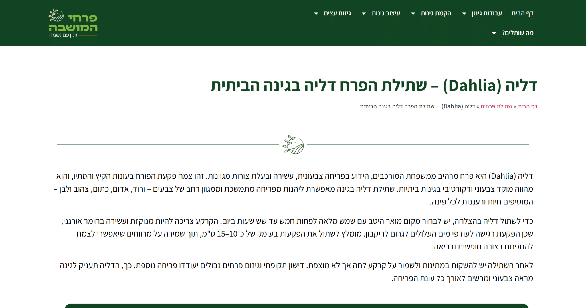 צילום מסך של פוסט הדליה באתר פרחי המושבה