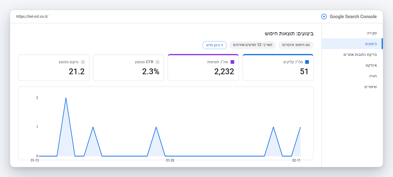 Google Search Console של ליאל רוט: צמיחה של 40% מסך הקליקים השנתיים בחודש האחרון