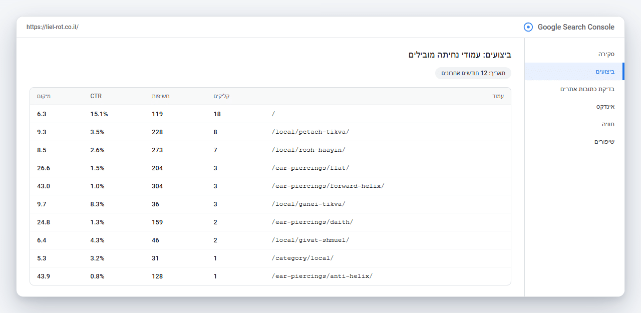 Google Search Console של ליאל רוט: עמודי נחיתה מובילים