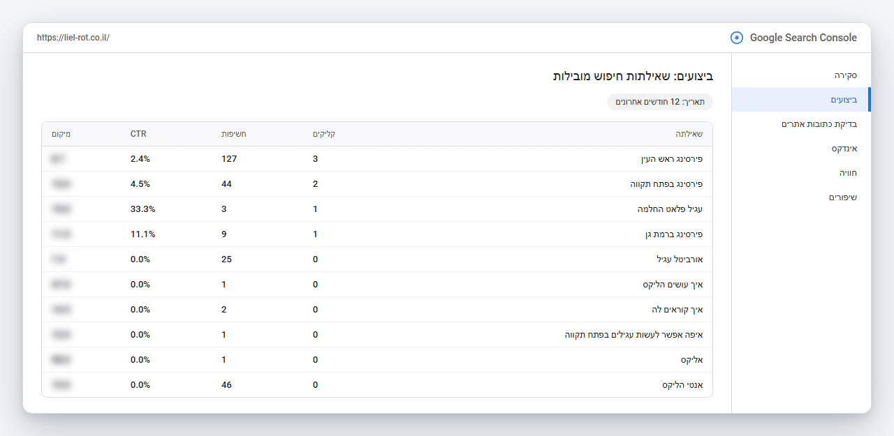 Google Search Console של ליאל רוט: שאילתות מובילות